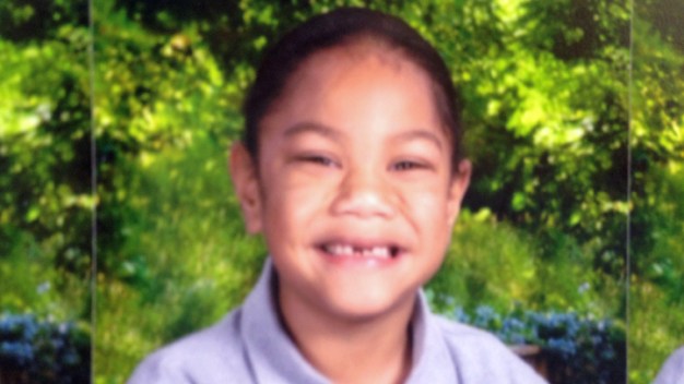 Boy Tries to Climb on Pit Bull's Back, Dies