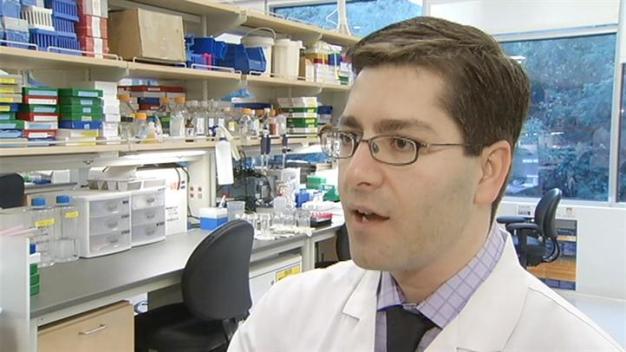 Stem Cells to Help Heart Attack Patients?