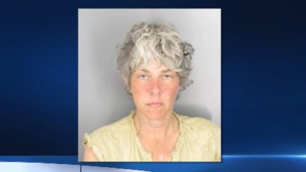 Police: Concord Woman Suspected of Sparking Wildfire