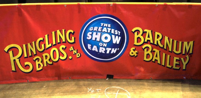 Images From the Circus