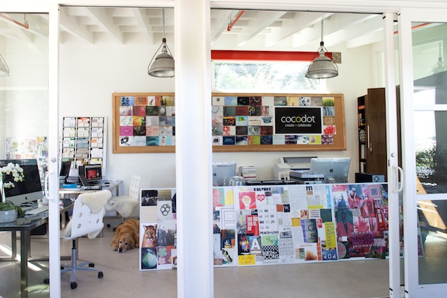 Inside Cocodot, the Opposite of Office Space