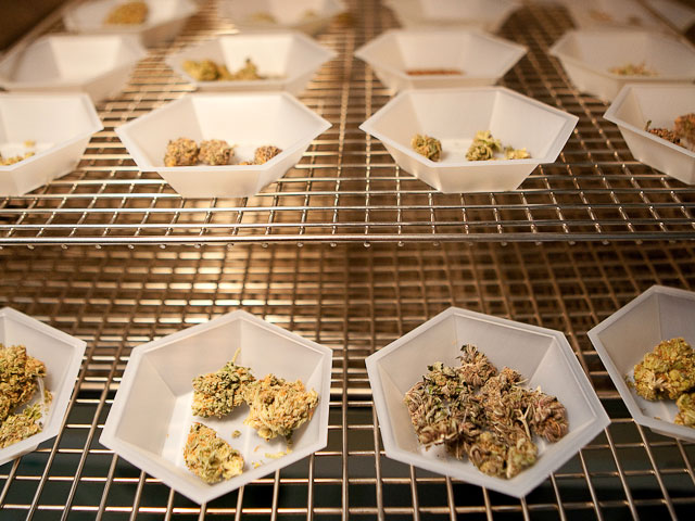 Peek Inside Steep Hill Pot-Testing Lab