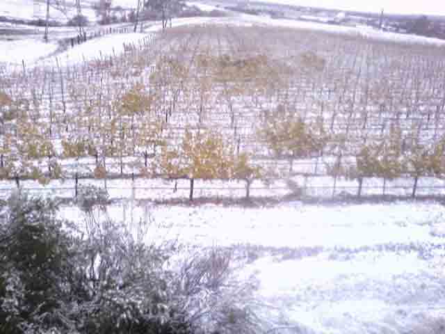 Snow in the Bay Area? You Betcha