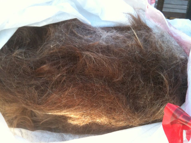 Hair Boom: Giving Clippings New Life