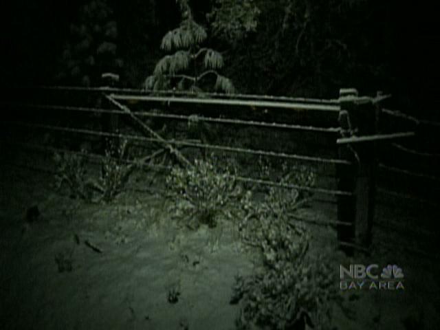 Snow Blankets Bay Area Peaks