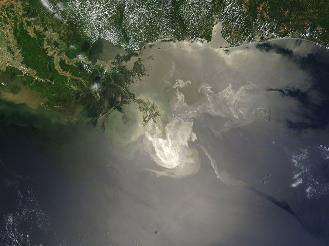 Gulf Oil Spill In Pictures