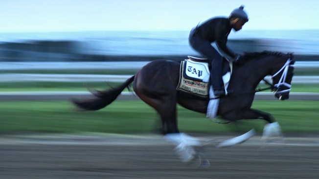 Always Dreaming, Classic Empire are neighbors in Preakness