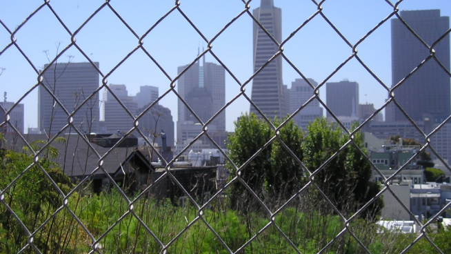Gardens May Bloom Amid San Francisco Skyscrapers