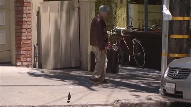 Some Noe Valley birds are getting quite territorial, dive-bombing the heads of passersby.