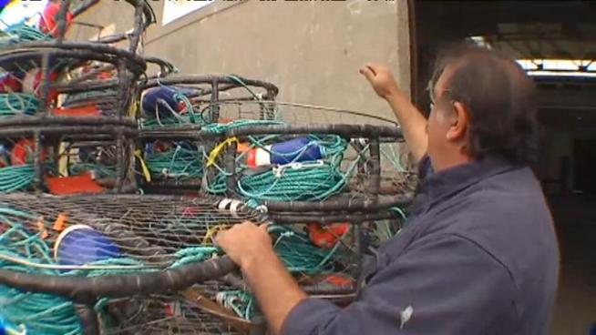 NBC Bay Area's Joe Rosato Jr. reports on the mad dash to start the crab season.