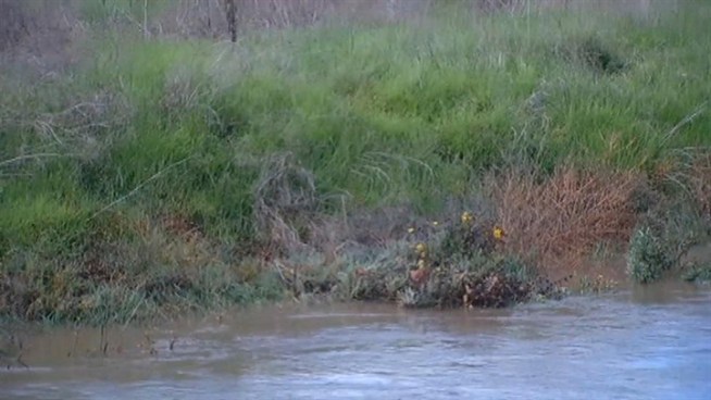 It was February 1998 late at night into the early morning hours when overflowing waters from the San Francisquito Creek flooded homes in Palo Alto, East Palo Alto, and Menlo Park. The memories are still fresh for some residents who said they are always worried about a repeat flooding any time a series of rain showers and storms hit their neighborhoods.