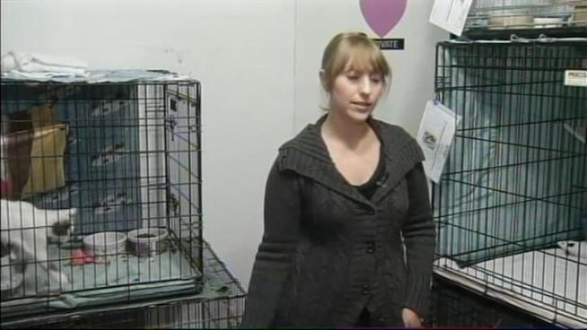 The search is on for a small poodle terrier mix thrown from a moving car. Even the Coast Guard is involved. The driver never stopped, but amazingly, witnesses say the pup survived. As NBC Bay Area's Elyce Kurchner explains, there is a big problem with the potential rescue of the dog.