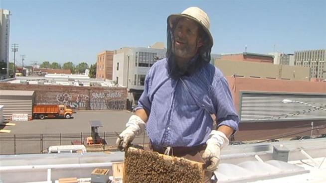 Local bee keeper is helping the environment and a local business that already has some of the tastiest treats around.