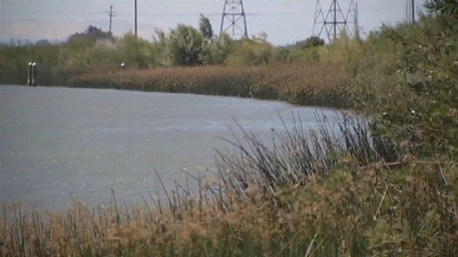Federal officials are in Stockton this week to discuss the seismic safety of the Sacramento-Delta levee system. In the meantime, we show you an unsual experiment that tests the safety of the levees.
