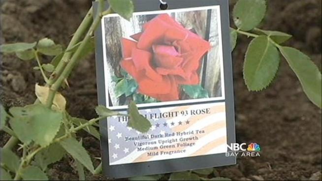Flight 93 pilot Jason Dahl was remembered today during ceremonies at two of his former schools in the south bay.  NBC Bay Area's Marianne Favro reports from San Jose State University.