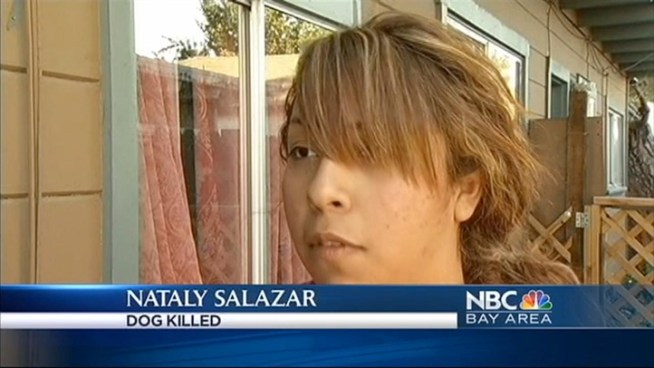 San Mateo County prosecutors are alleging that Marcos Montano-Topete, 32,  retaliated against a barking dog by bashing the dog, named Globsis, in the snout with a brick this spring. Following an emergency surgery, the dog was euthanized.