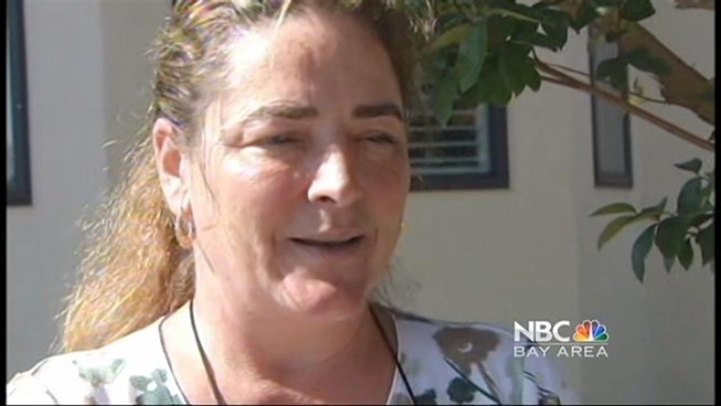 A principal of a Santa Clara elementary school was arraigned Monday  on five felonies and one misdemeanor - all related to the sale of drugs.