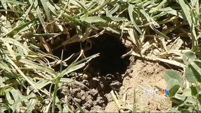 The city of San Jose received the largest private donation in history from a mysterious someone trying to support soccer in the Almaden Valley.  Kris Sanchez reports.