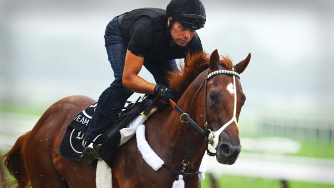 Triple Crown hopeful I'll Have Another gallops at Belmont Park as he prepares for the June 9 Belmont Stakes.