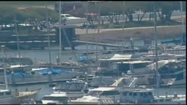 A father and son were thrown overboard when their Boston Whaler collided with a 46-foot cruiser.
