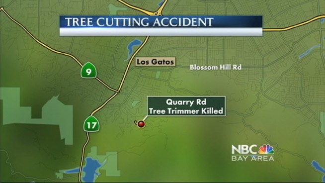 State investigators are looking into why a tree trimmer was killed Monday, and a second tree trimmer was injured after a tree fell on them in Los Gatos.
