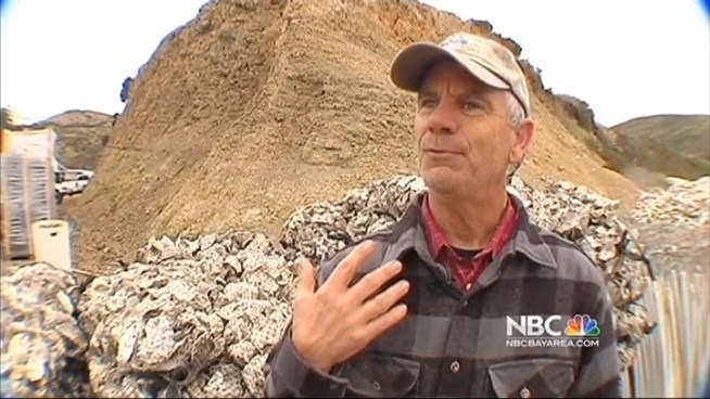 The National Park Service is set to decide this week whether or not to extend a lease for Kenny Lunny's Drake's Bay Oyster Farm. Environmentalists want the oyster company removed from the estuary. Joe Rosato Jr. reports.