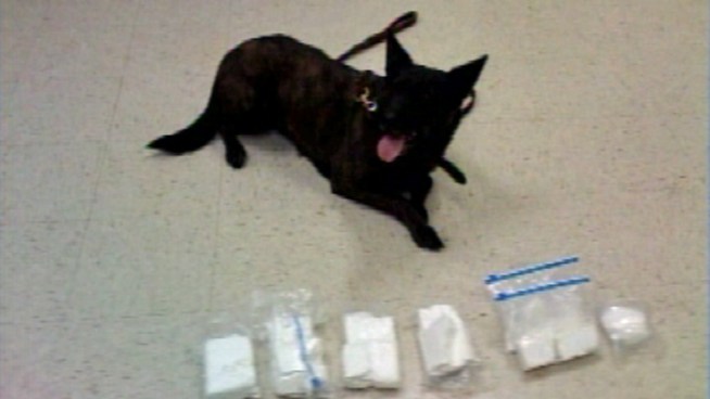 The home of a Richmond police officer was burglarized last week, and the robbers made off with a cache of guns in addition to poisoning the cop's dogs. Jodi Hernandez explains.