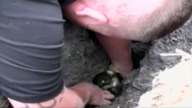 A Garland boy's puppy became trapped in his backyard after it fell through a deep crack caused by the summer heat.
