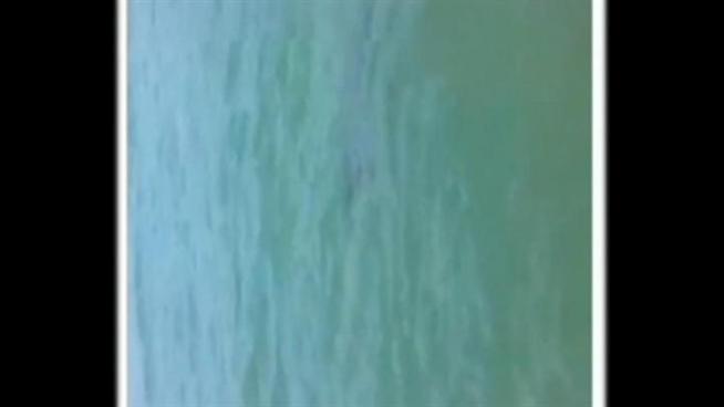 Thank you to Zeke Dierks for giving us this video he shot in the North Bay this weekend.