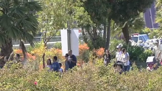 A dozen riders were stuck on top of Six Flags Discovery Kingdom's Superman Ultimate Flight roller coaster this afternoon in Vallejo for about an hour after it stalled near the top, a fire captain said.