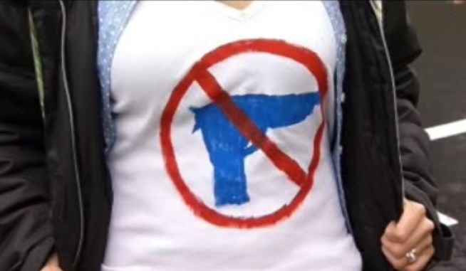 Templar Sports, a gun store, has divided the community of Los Gatos as residents are worried about negative impact that may result. NBC Bay Area's Jean Elle reports.
