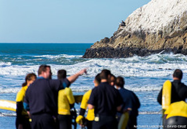 A surfer jumped to safety on Monday after he was stranded on Seal Rock in San Francisco. The Coast Guard rushed in to help.