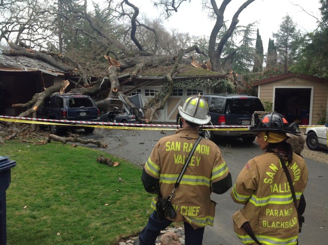 Hear from the homeowners who were inside their million dollar home when a mighty oak crashed on to it.