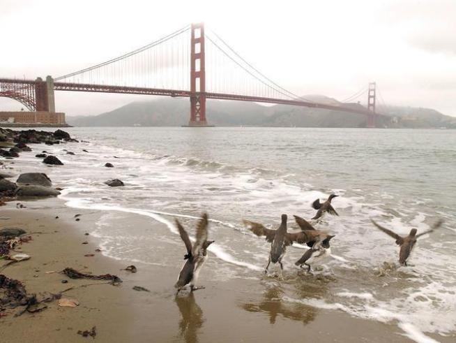 Think the biggest threat to the Bay Area's environmental health is big business? <a title=