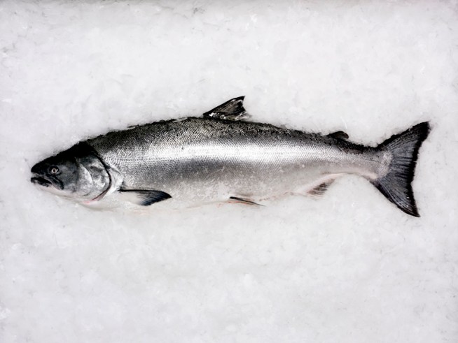 Fishermen Iced Over Salmon Rules