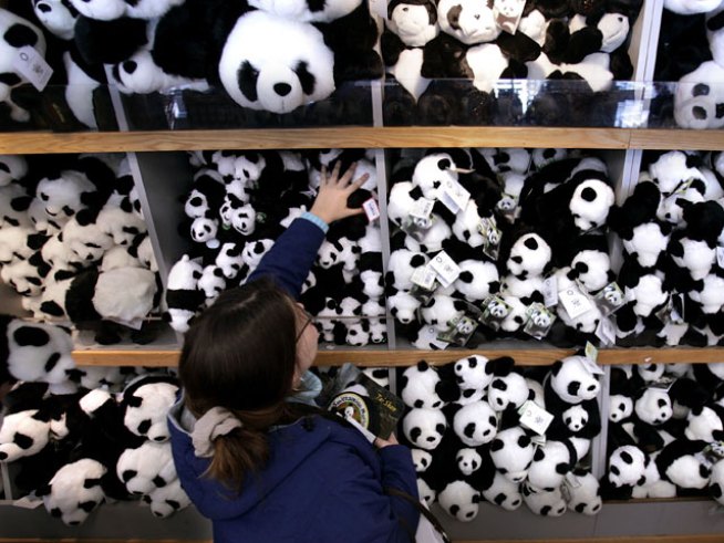 Prepare for Panda-monium