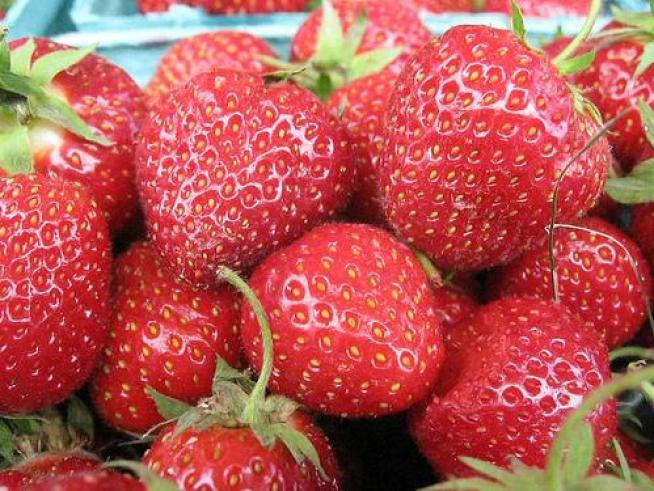 Strawberry "Jam" Jams Highway 17 Commute
