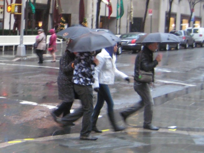 Finally! Storm Brings Rain to Bay Area