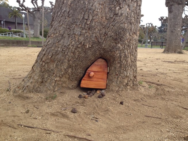 The Mystery of the Tiny Door in a Tree Tree27