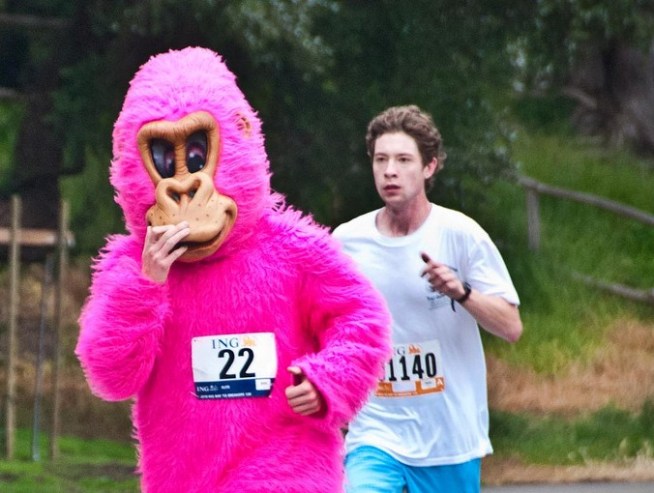 Bay to Breakers takes off for its 101st running this Sunday in San Francisco.