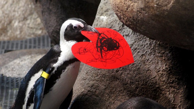 Penguin Valentines
