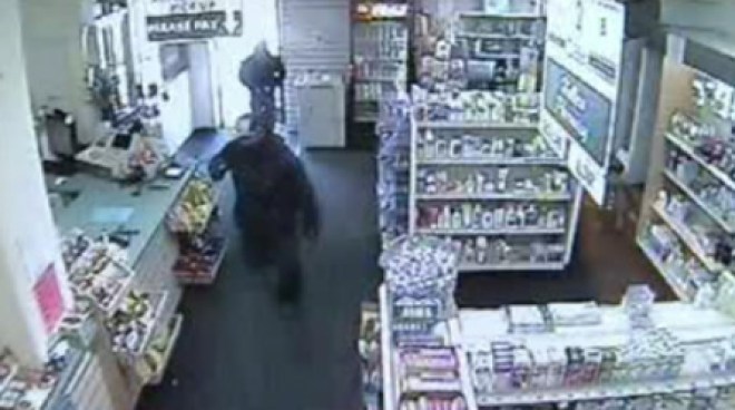 A string of pharmacy robberies across the Bay Area for coveted prescription drugs - especially the opiate, oxycodone - is causing police agencies and drugstore owners to be concerned. Jodi Hernandez reports. Jodi Hernandez reports.