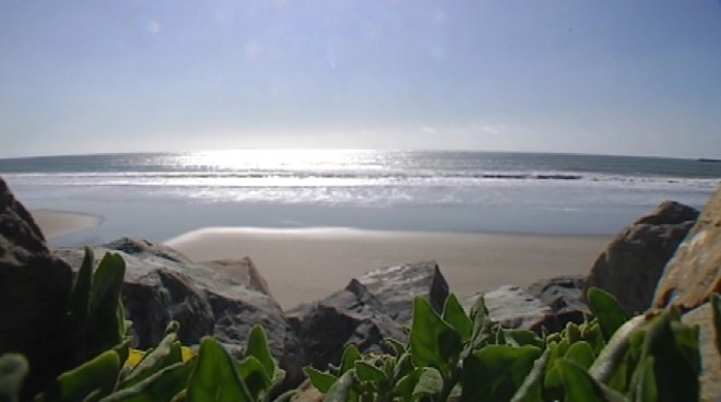 Rogue waves, sometimes called sneaker waves, are disproportionately large costal waves that sometimes 