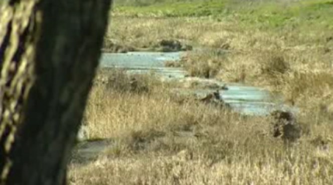 Human remains have been found in two counties; a partial human skull near Union City and the skull and bones of a heavy, middle-aged white man in San Mateo County. NBC Bay Area's Jodi Hernandez reports from Union City.