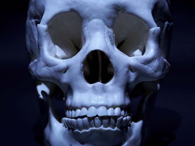 File Image: Human Skull