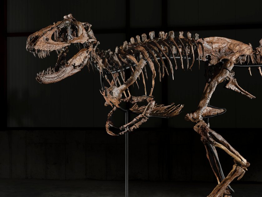 Fossil