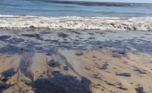 FoC Horizontal