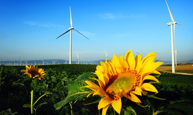 062309 TOP NEWS Spain Wind