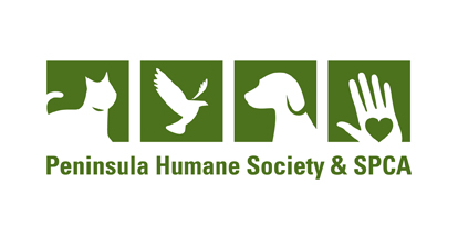 Clear The Shelters At Peninsula Humane Society Nbc Bay Area