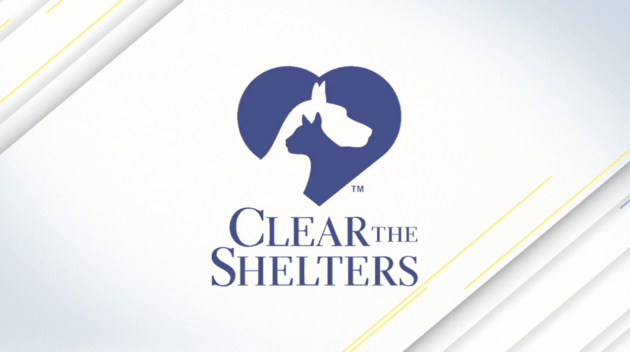 0815 Clear the Shelters Logo